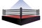 boxing ring arena design vector flat isolated illustration