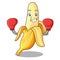 Boxing ripe banana isolated on character cartoon