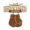 Boxing sport school isolated emblem with gloves illustration