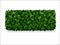 Boxwood decorative fence