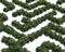 Boxwood labyrinth on white background