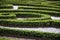 Boxwood ornamental garden. Green bushes labyrinth, hedge maze