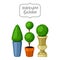 Boxwood topiary garden plants. Decorative trees in flowerpots