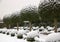 Boxwood and yews under the snow. French garden