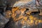 A Boxwork geological formation of rocks in Wind Cave National Park, South Dakota