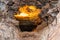 A Boxwork geological formation of rocks in Wind Cave National Park, South Dakota