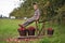 A boy, an apple seller at a market, sits on an old wooden scale