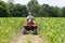 Boy on ATV in cornfield