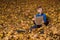 Boy in autumn forest with book. Child sitting on fallen leaves with book in hands and laughs