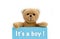 Boy baby shower ItÂ´s a boy message written on blue card with brown teddy bear holding with the two hands the note with the