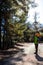 boy with a backpack in the forest. The child is standing in the middle of the road in the forest