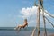 A boy on the beach swinging on a swing. Summer sunny day