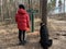 Boy with a big dog for a walk in the woods. A teenager walks with a black dog in the park. Cane Corso on a leash