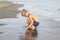 boy with blond hair in swimming glasses playing on the beach in