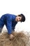 Boy in blue coverall harvesting straw
