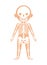 Boy body anatomy with skeleton system
