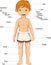 Boy body part cartoon