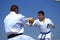 Boy breaking board in martial arts practice