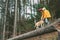 Boy in bright yellow parka walks with his beagle dog in pine for