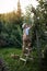 A boy in a cap and beige overalls is harvesting apples. A small farmer works in an orchard.