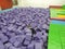 A boy child buries himself in a foam rubber of purple cubes