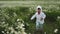 Boy child runs through a chamomile field