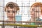 Boy children looking at pet budgerigar in cage