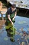 Boy cleaning garden pond