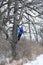 Boy Climbing a Deer Stand in the Forest