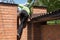 Boy is climbing over brick fence outside from home yard.