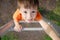 Boy climbing stairs and playing outdoors on playground, children activity. Child portrait from above. Active healthy childhood