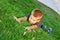 The boy climbs on the grass. Funny children`s games in the grass