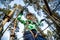 Boy climbs in a high wire park above the ground. ziplining. boy on the zip line. kid passes the rope obstacle course