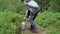 Boy collecting Wild blueberries into aluminium can