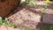 Boy collects worms under the wooden boards in village, hands closeup.