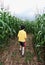 Boy in corn maze