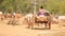 A boy on the the cow cart