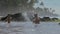 Boy and daddy splash water playing in ocean water at resort