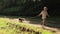 Boy with a dog in nature. little boy walking with a cute Yorkshire terrier dog in the park