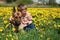 Boy, dog and yellow meadow.