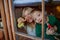 Boy with Down syndrome with his grandmother cleaning window at home.