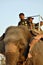 A boy drives an elephantThe village of Sauraha on the border of