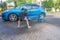 Boy earning pocket money cleaning blue compact car