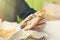 Boy eating double cheeseburger. The concept of food and unhealthy lifestyle.