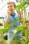 Boy Eating Home Grown Tomatoes In Greenhouse