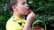 Boy eating strawberries from a basket. little sibling kid boys having fun on strawberry farm in summer. Children eating