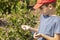 boy eats,collects (picks) blueberries (bilberries)from the bush in the garden,keeps them in hand