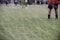 Boy elementary local soccer team practicing tactics and drilling on a green pitch with their coach after a school day in the eveni