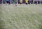 Boy elementary local soccer team practicing tactics and drilling on a green pitch with their coach after a school day in the eveni