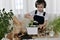 The boy is engaged of hyacinths, poured the soil with a shovel pours the soil up to the level of sprouted bulbs